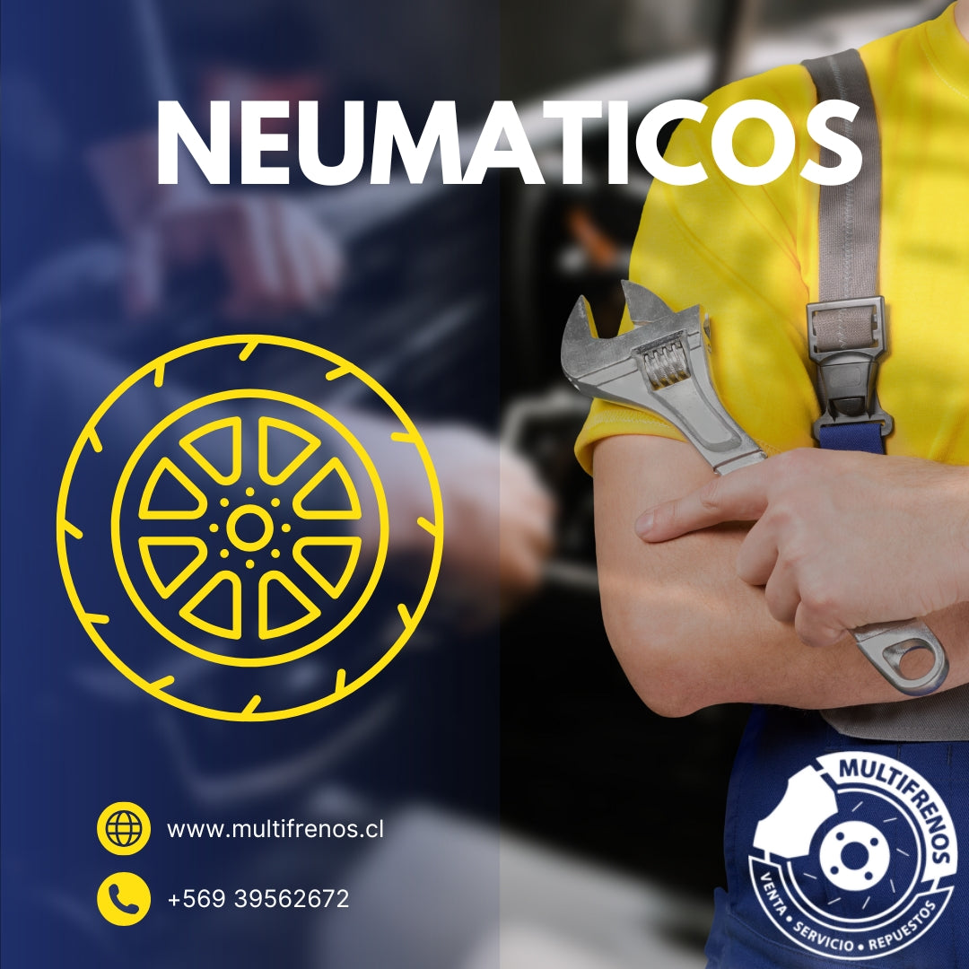 NEUMATICOS