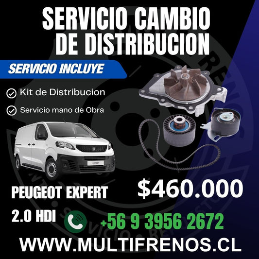 Servicio Cambio Correa de Distribución Peugeot Expert 2.0 hdi